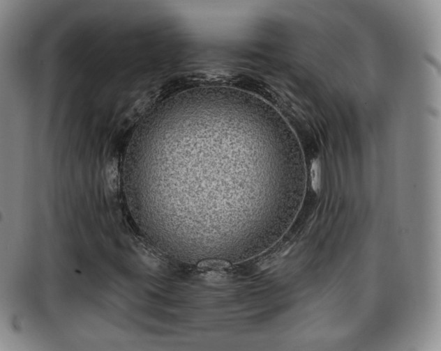 X0000097771395200803141734