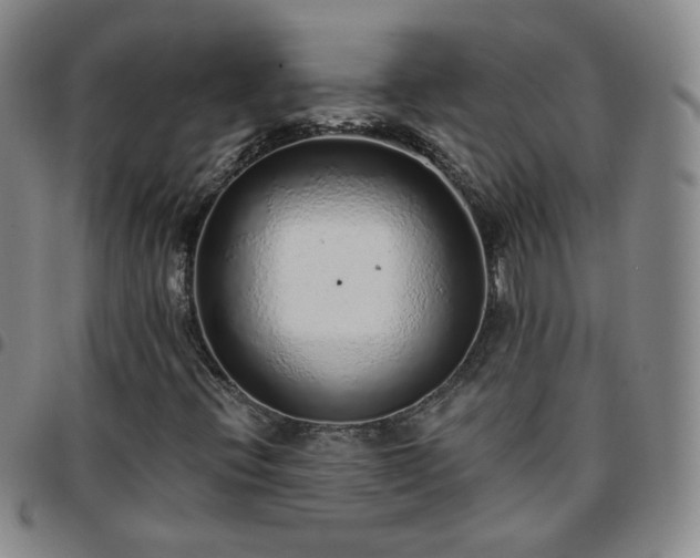 X0000097771396200803141734