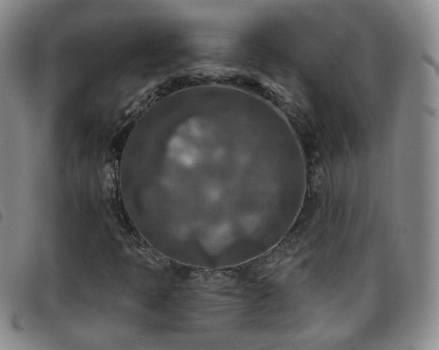 X0000097771397200803141735