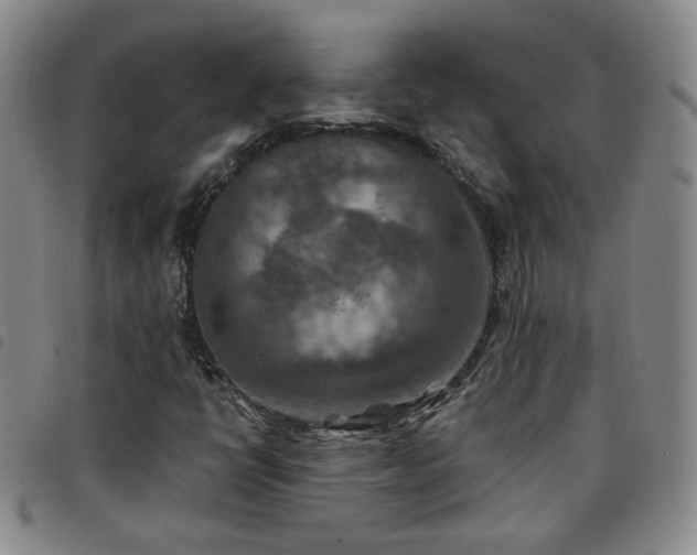 X0000097771398200803141735