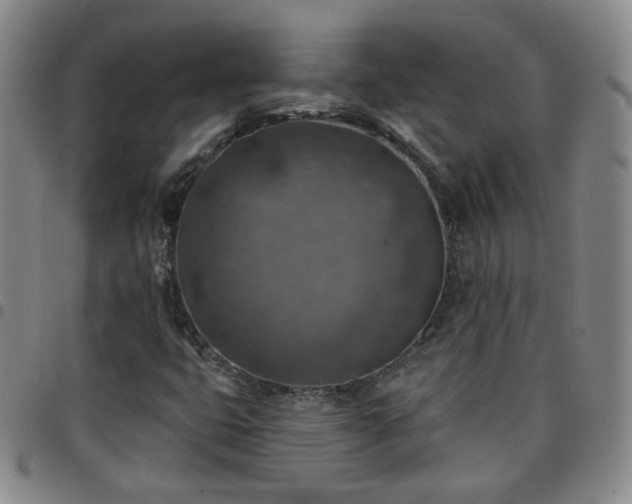 X0000097771399200803141735