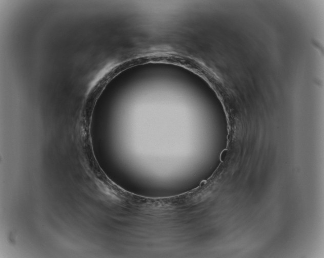 X0000097771400200803141735