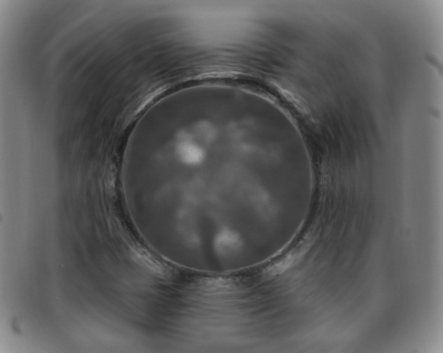 X0000097771401200803141735