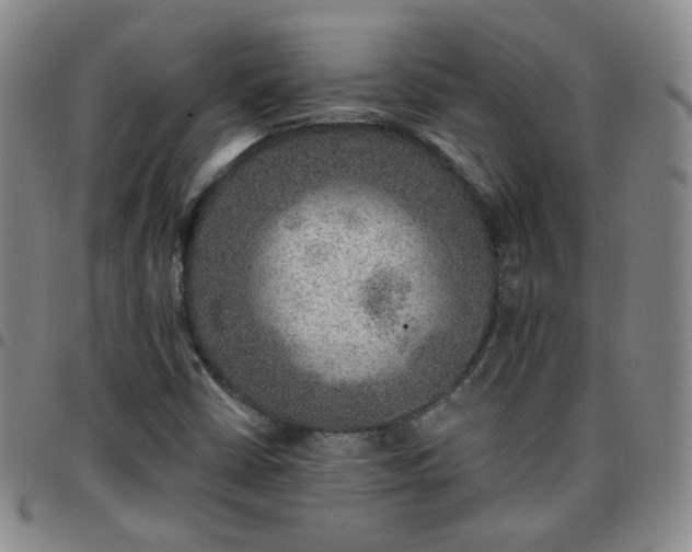 X0000097771402200803141735