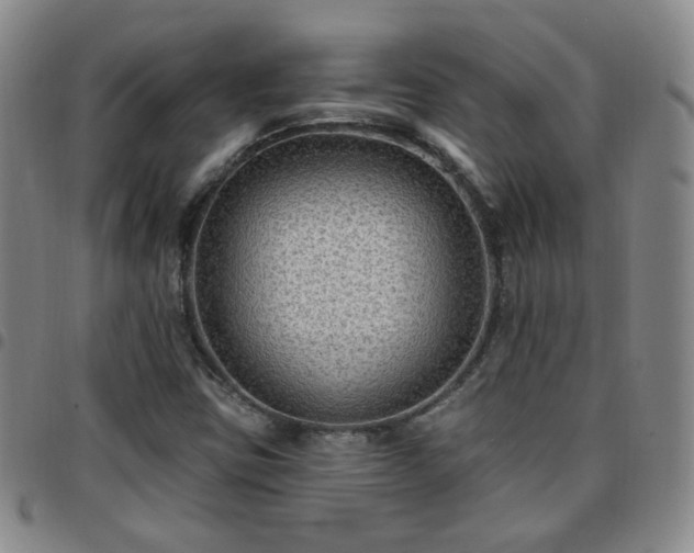 X0000097771403200803141735