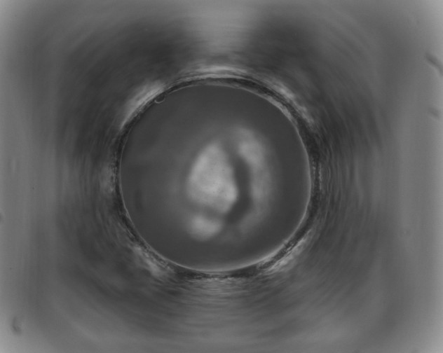 X0000097771405200803141735