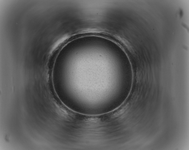 X0000097771406200803141735