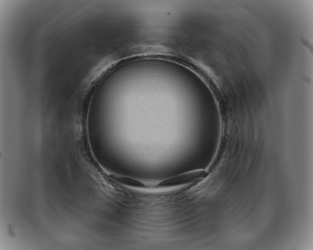 X0000097771407200803141735