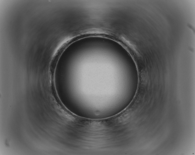 X0000097771408200803141735