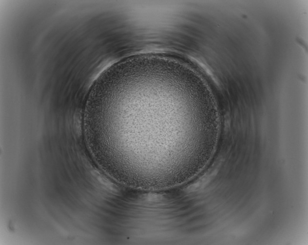 X0000097771409200803141735