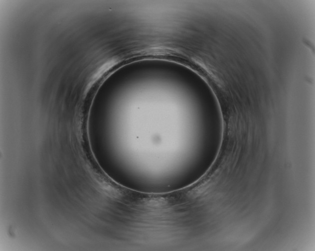X0000097771410200803141735