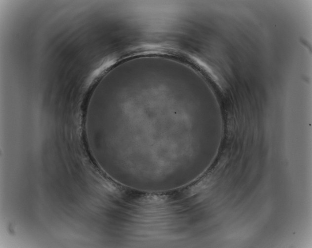 X0000097771411200803141735