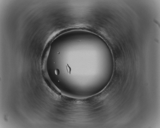 X0000097771412200803141735
