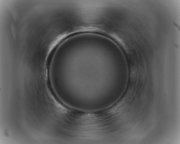 X0000097771414200803141735