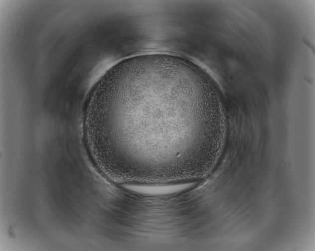 X0000097771415200803141735