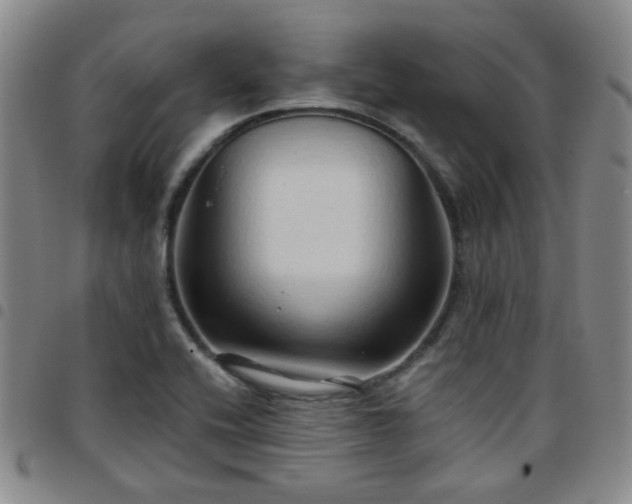 X0000097771416200803141735