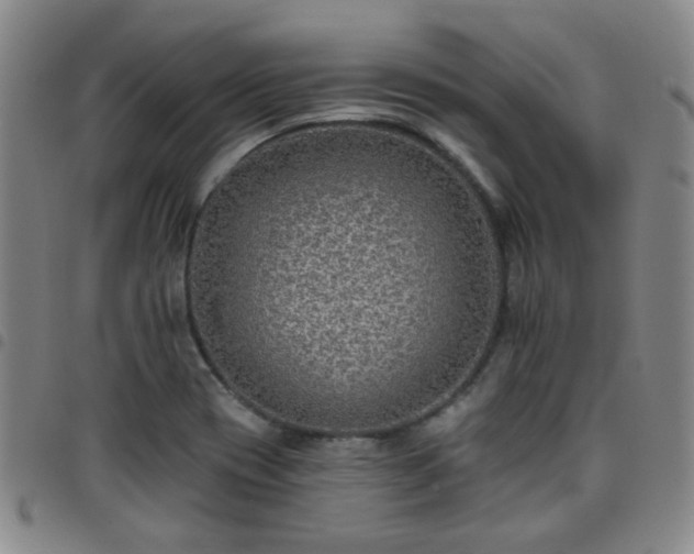 X0000097771417200803141735