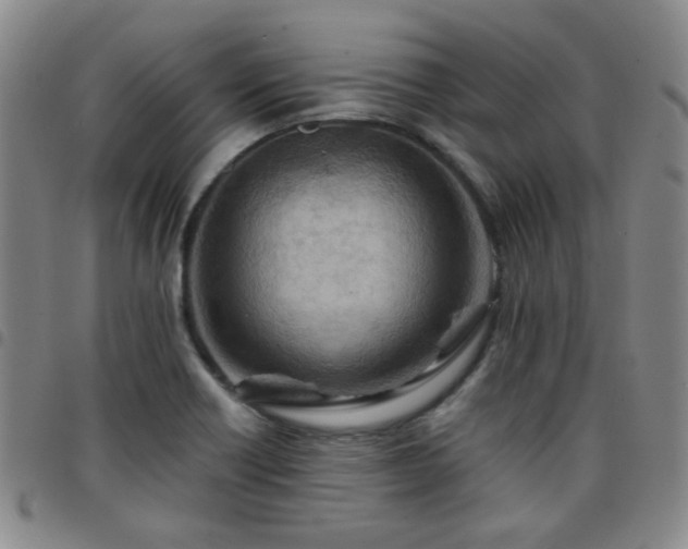 X0000097771418200803141735