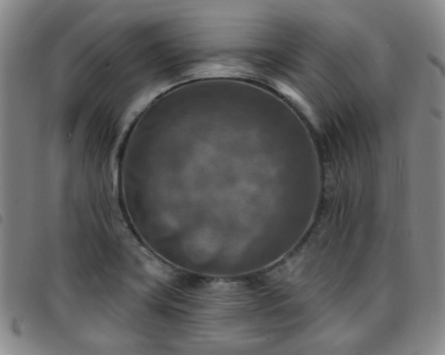 X0000097771419200803141735