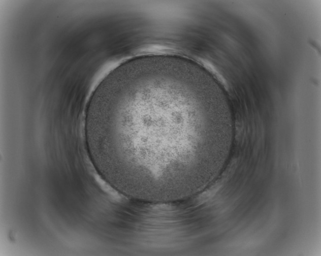 X0000097771421200803141735