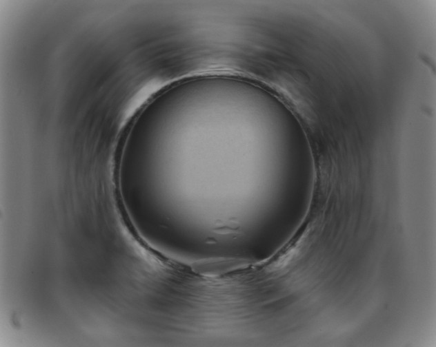 X0000097771422200803141735