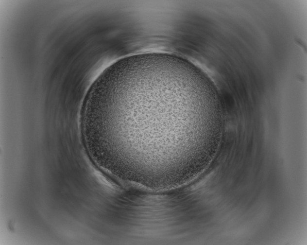 X0000097771423200803141735