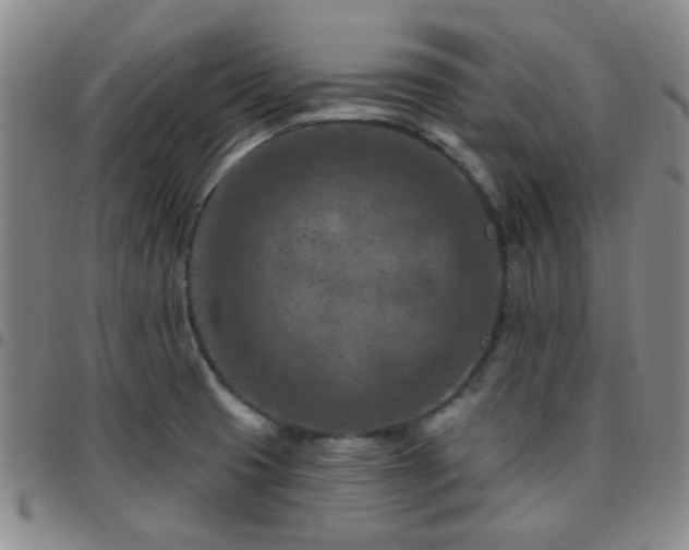 X0000097771425200803141735