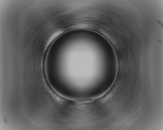 X0000097771426200803141735