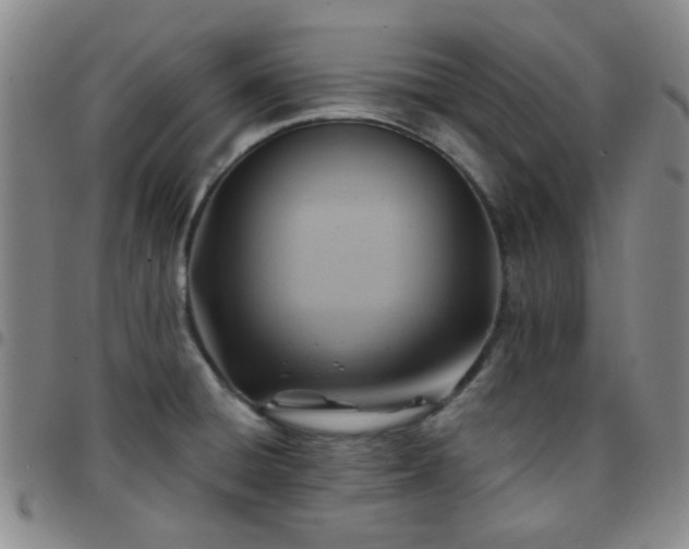 X0000097771428200803141735