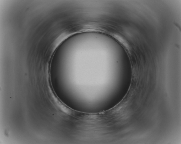 X0000097771431200803141735