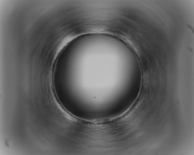 X0000097771432200803141735
