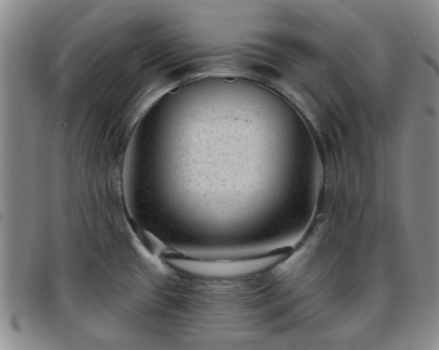 X0000097771433200803141735