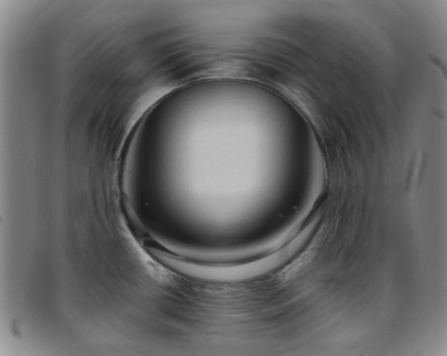 X0000097771434200803141735