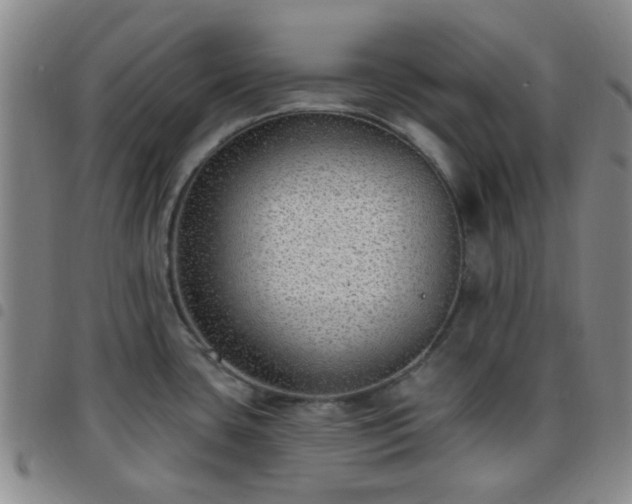 X0000097771435200803141735