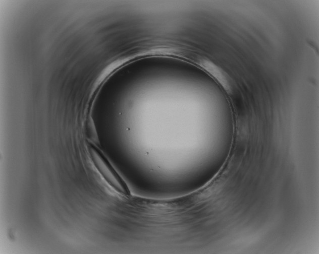 X0000097771436200803141735