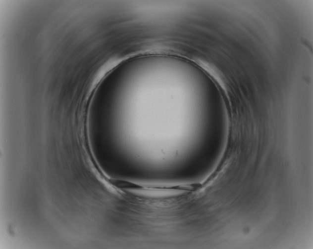 X0000097771437200803141735