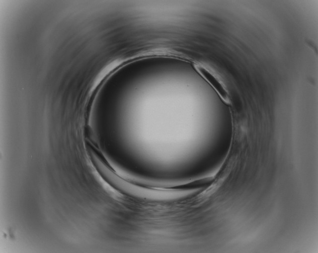 X0000097771438200803141735