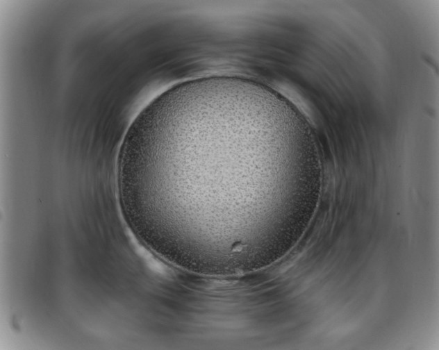 X0000097771439200803141735