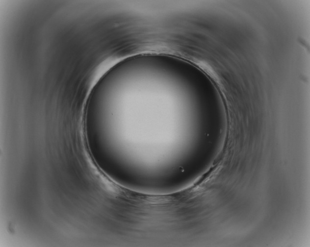 X0000097771440200803141735