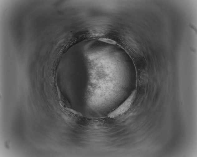 X0000097771441200803141734