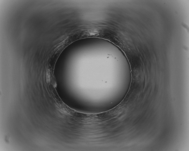 X0000097771442200803141734