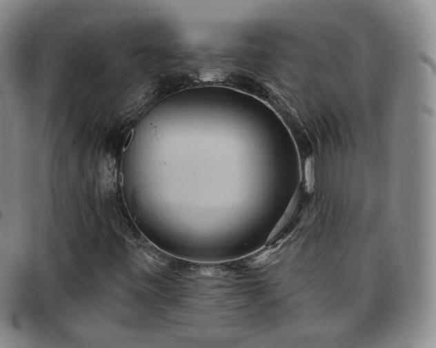 X0000097771443200803141734