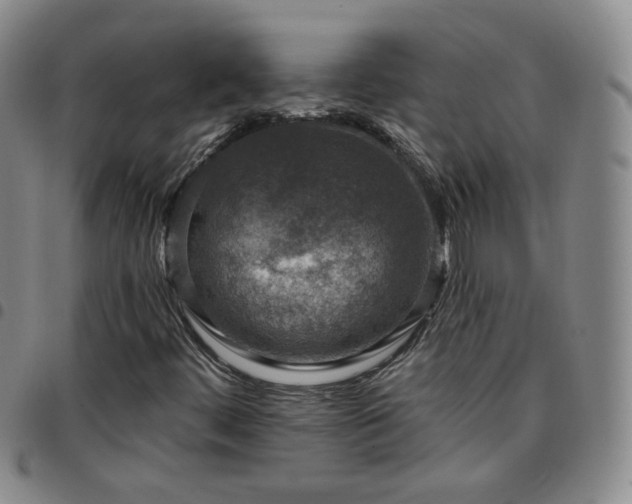 X0000097771444200803141734