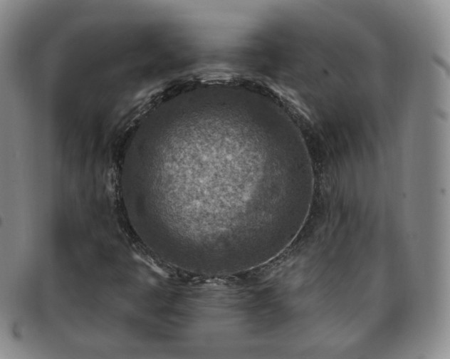 X0000097771445200803141734