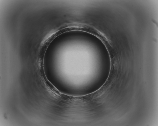 X0000097771448200803141734