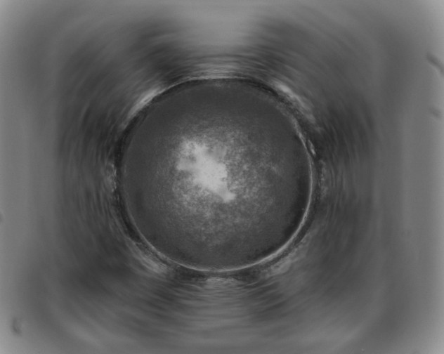 X0000097771449200803141734