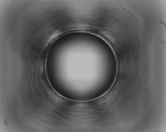 X0000097771451200803141734