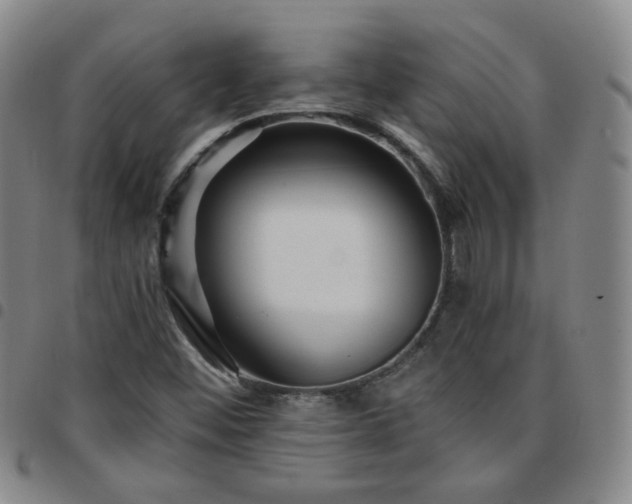 X0000097771452200803141734