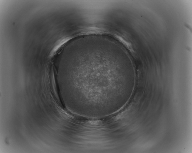 X0000097771453200803141734