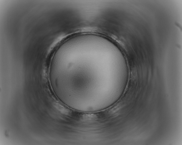 X0000097771454200803141734